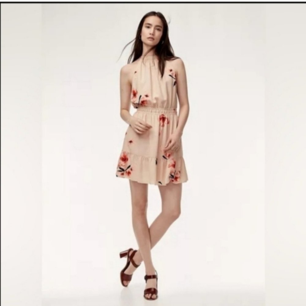 Aritzia crepe floral dress